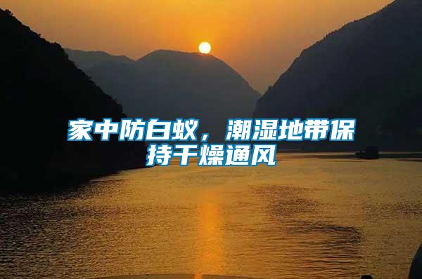 家中防白蟻，潮濕地帶保持干燥通風