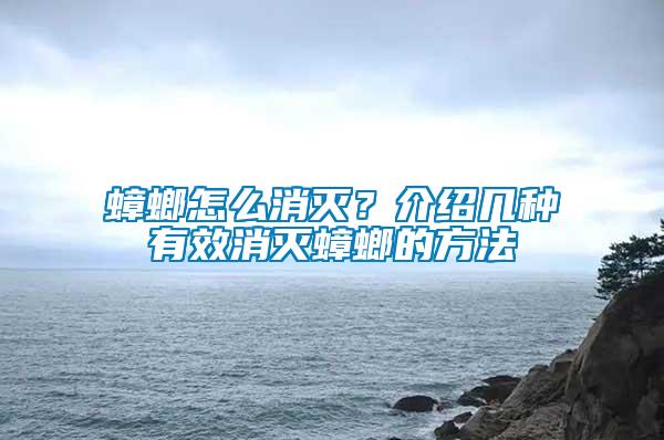 蟑螂怎么消滅？介紹幾種有效消滅蟑螂的方法