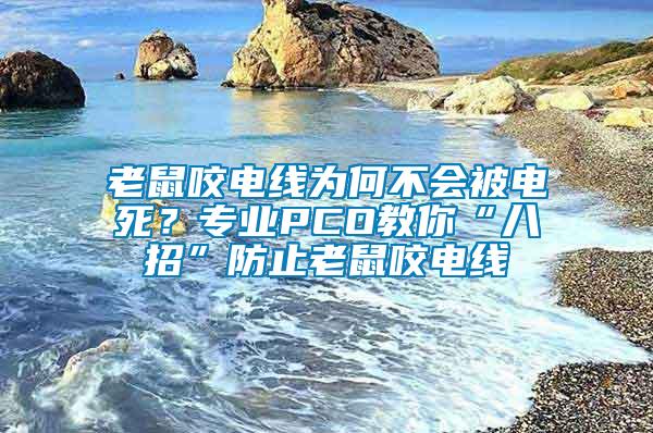 老鼠咬電線為何不會被電死？專業(yè)PCO教你“八招”防止老鼠咬電線
