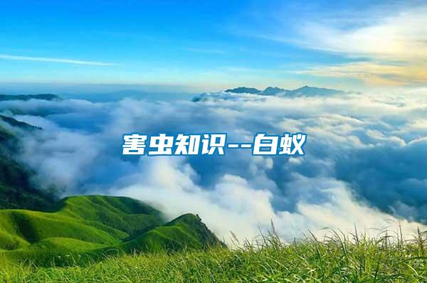 害蟲(chóng)知識(shí)--白蟻