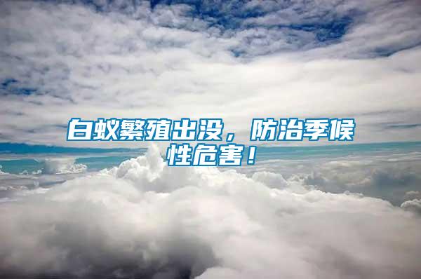 白蟻繁殖出沒，防治季候性危害！