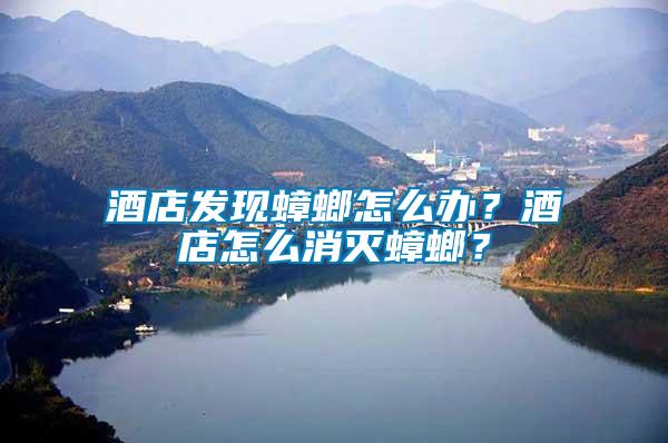 酒店發(fā)現蟑螂怎么辦？酒店怎么消滅蟑螂？