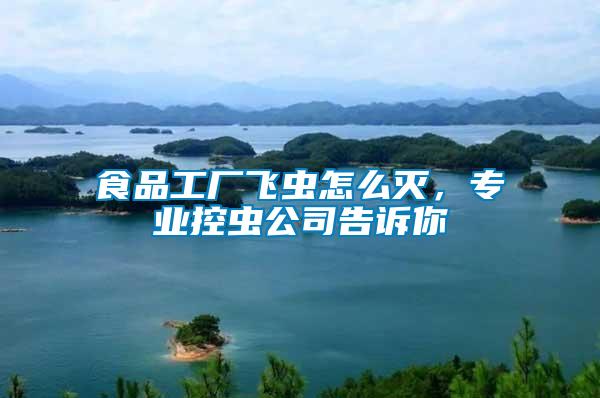 食品工廠(chǎng)飛蟲(chóng)怎么滅，專(zhuān)業(yè)控蟲(chóng)公司告訴你