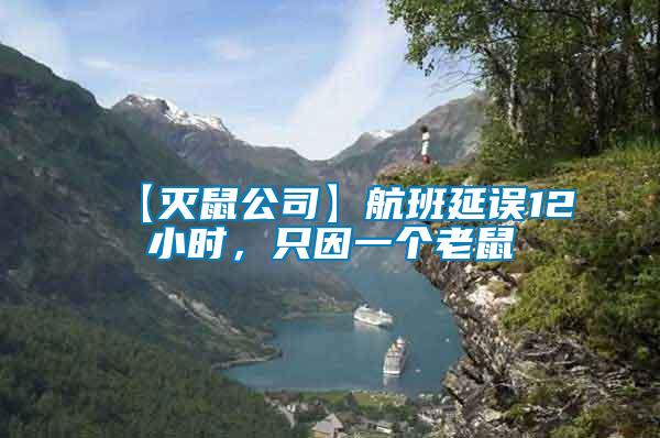 【滅鼠公司】航班延誤12小時，只因一個老鼠