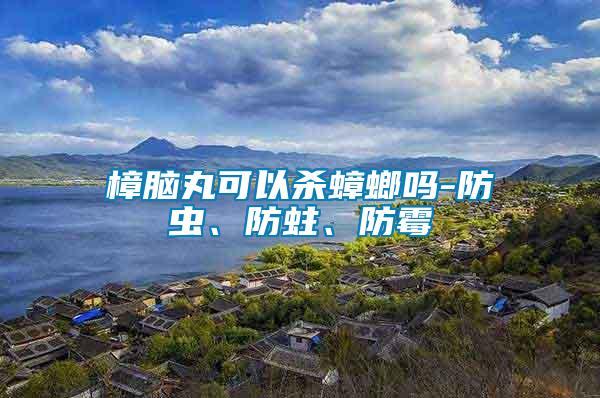 樟腦丸可以殺蟑螂嗎-防蟲、防蛀、防霉