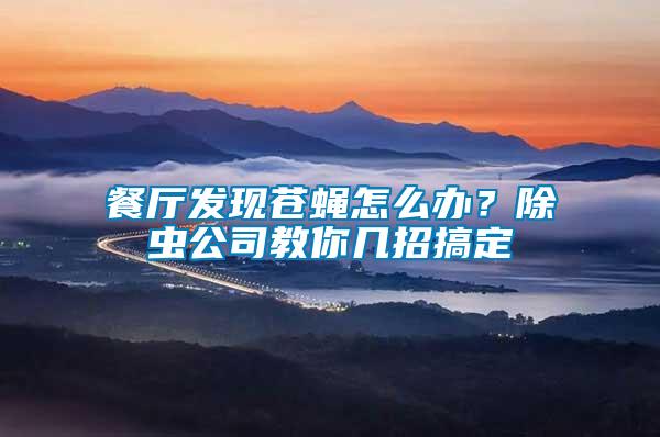 餐廳發(fā)現(xiàn)蒼蠅怎么辦？除蟲公司教你幾招搞定