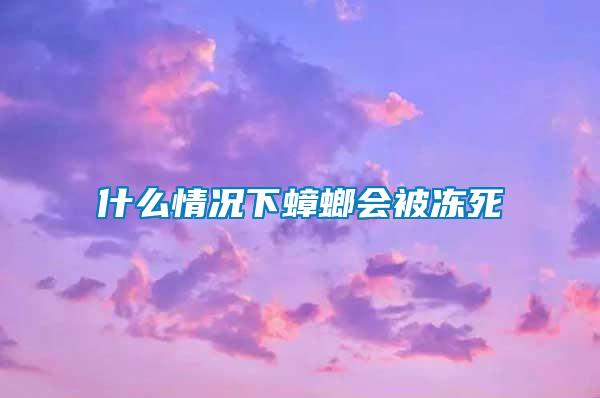 什么情況下蟑螂會(huì)被凍死