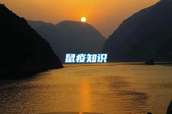 鼠疫知識(shí)