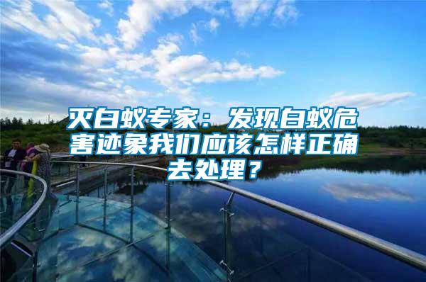 滅白蟻專家：發(fā)現(xiàn)白蟻危害跡象我們應(yīng)該怎樣正確去處理？