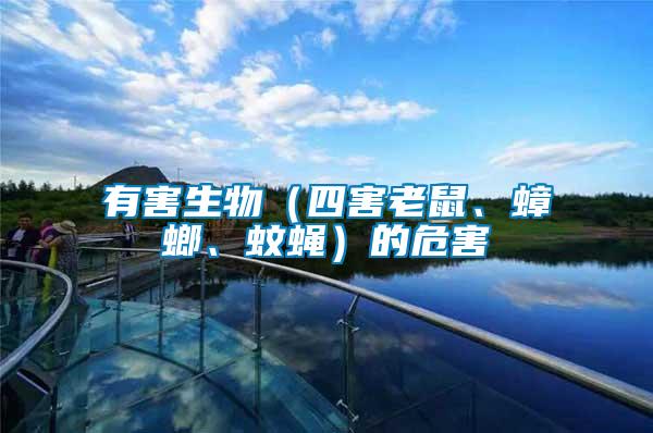 有害生物（四害老鼠、蟑螂、蚊蠅）的危害