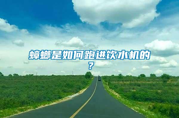 蟑螂是如何跑進飲水機的？