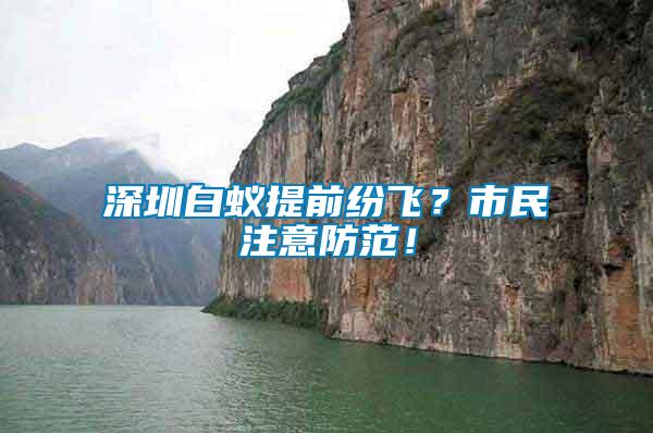 深圳白蟻提前紛飛？市民注意防范！
