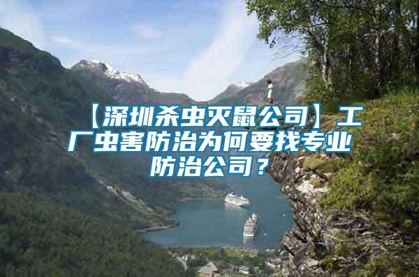 【深圳殺蟲滅鼠公司】工廠蟲害防治為何要找專業(yè)防治公司？
