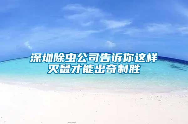 深圳除蟲(chóng)公司告訴你這樣滅鼠才能出奇制勝