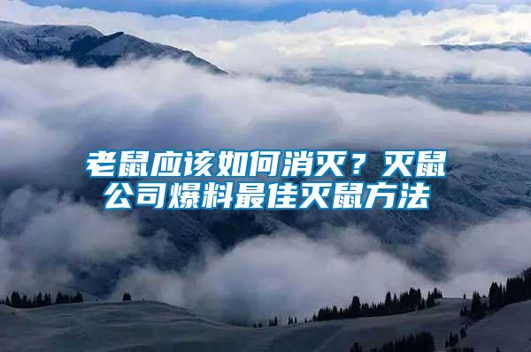 老鼠應(yīng)該如何消滅？滅鼠公司爆料最佳滅鼠方法