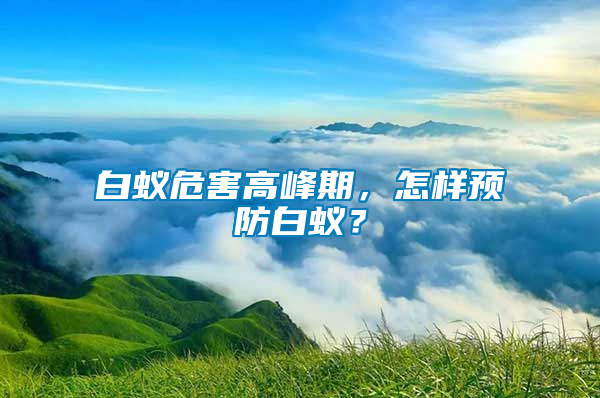 白蟻危害高峰期，怎樣預(yù)防白蟻？
