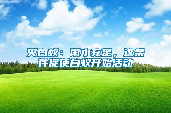 滅白蟻：雨水充足，這條件促使白蟻開始活動(dòng)