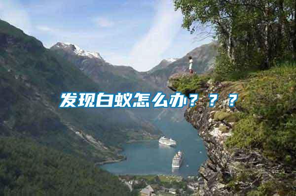 發(fā)現(xiàn)白蟻怎么辦？？？