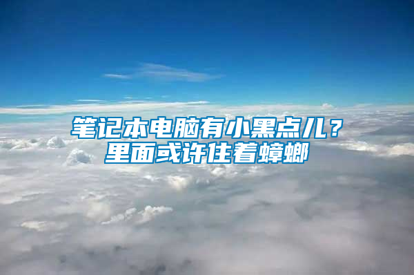 筆記本電腦有小黑點(diǎn)兒？里面或許住著蟑螂