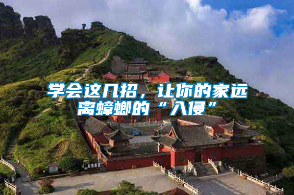 學會這幾招，讓你的家遠離蟑螂的“入侵”