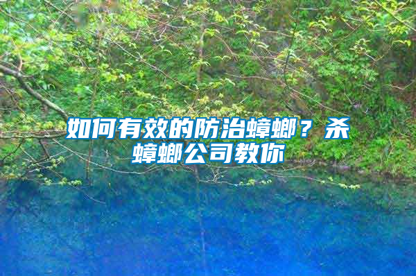 如何有效的防治蟑螂？殺蟑螂公司教你