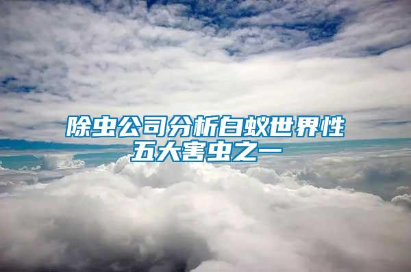 除蟲公司分析白蟻世界性五大害蟲之一