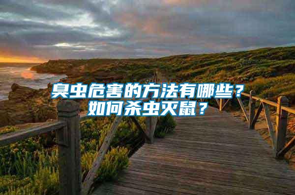 臭蟲(chóng)危害的方法有哪些？如何殺蟲(chóng)滅鼠？