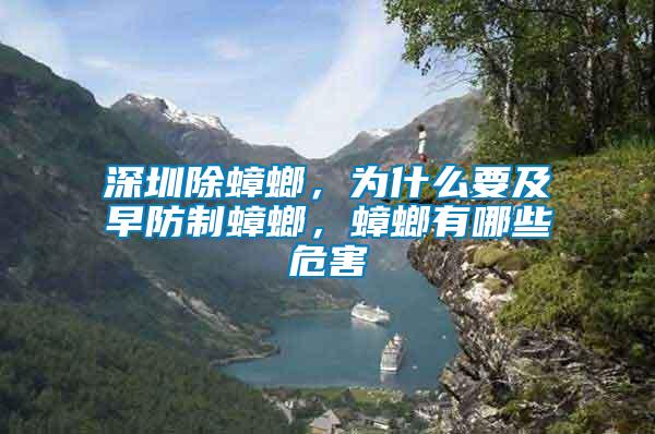 深圳除蟑螂，為什么要及早防制蟑螂，蟑螂有哪些危害