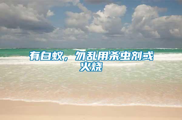 有白蟻，勿亂用殺蟲劑或火燒