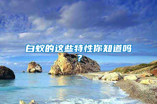 白蟻的這些特性你知道嗎？