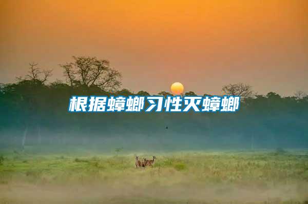 根據(jù)蟑螂習性滅蟑螂