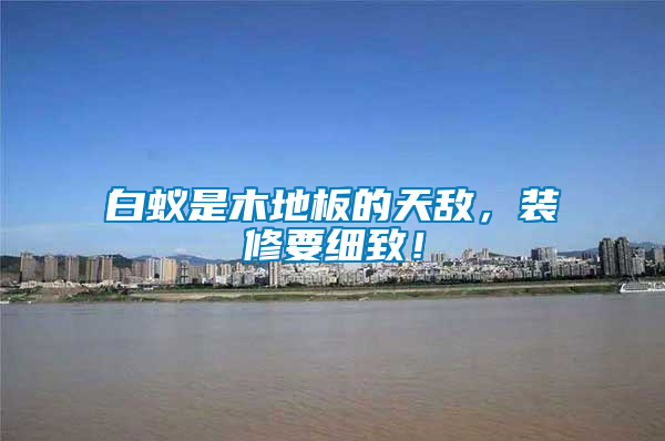 白蟻是木地板的天敵，裝修要細(xì)致！