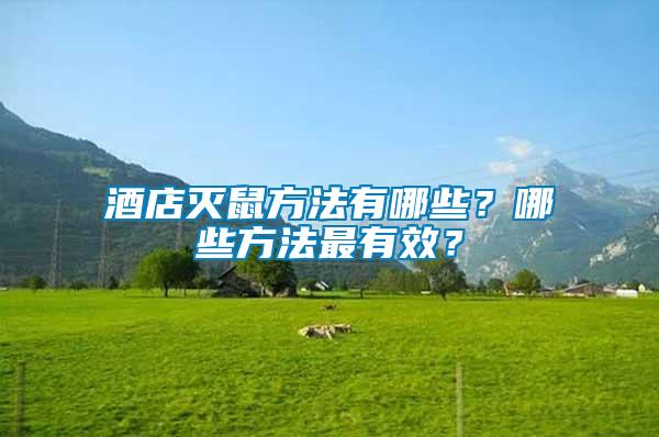 酒店滅鼠方法有哪些？哪些方法最有效？