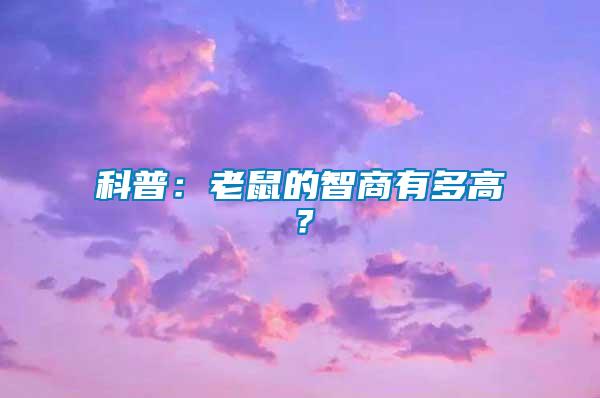 科普：老鼠的智商有多高？
