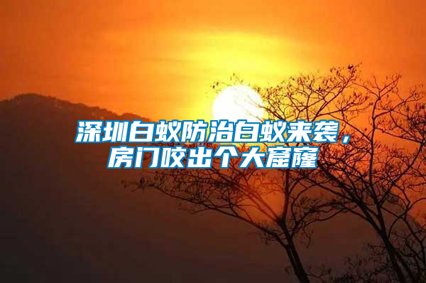 深圳白蟻防治白蟻來襲，房門咬出個(gè)大窟窿