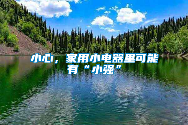 小心，家用小電器里可能有“小強”