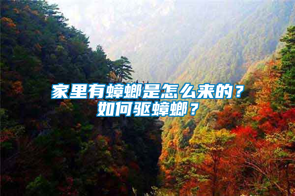 家里有蟑螂是怎么來(lái)的？如何驅(qū)蟑螂？