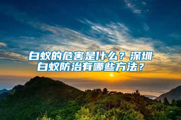 白蟻的危害是什么？深圳白蟻防治有哪些方法？