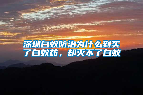 深圳白蟻防治為什么到買了白蟻藥，卻滅不了白蟻