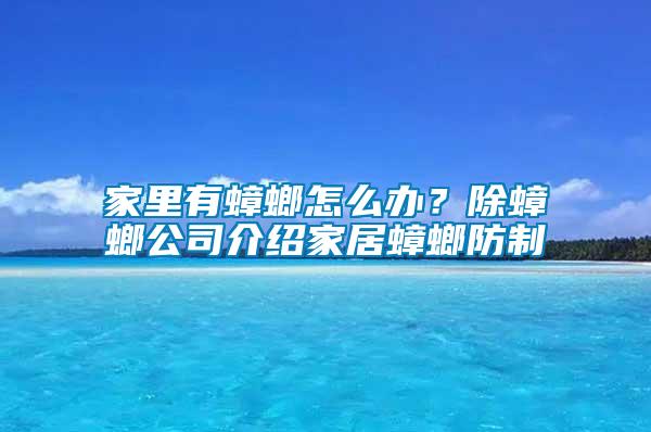 家里有蟑螂怎么辦？除蟑螂公司介紹家居蟑螂防制