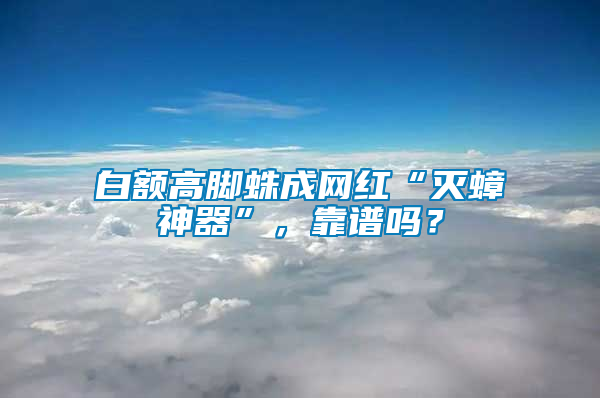 白額高腳蛛成網(wǎng)紅“滅蟑神器”，靠譜嗎？