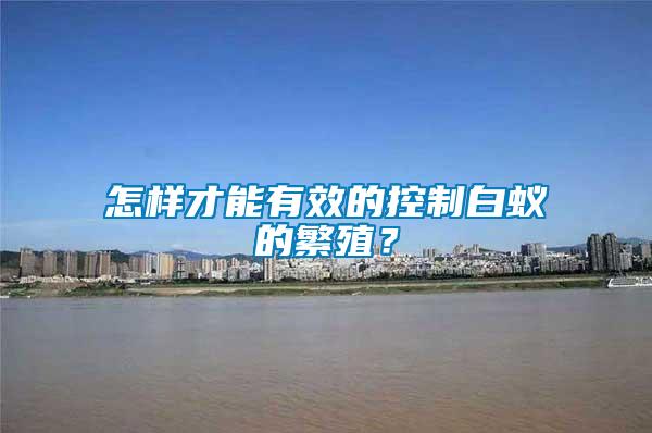 怎樣才能有效的控制白蟻的繁殖？