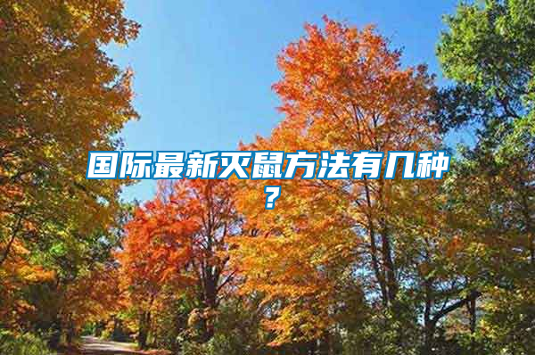 國際最新滅鼠方法有幾種？