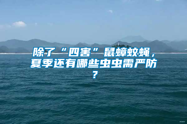 除了“四害”鼠蟑蚊蠅，夏季還有哪些蟲蟲需嚴防？