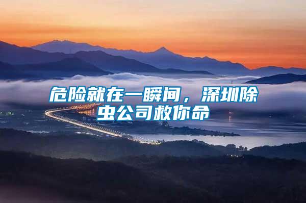危險(xiǎn)就在一瞬間，深圳除蟲公司救你命