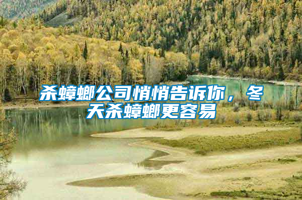 殺蟑螂公司悄悄告訴你，冬天殺蟑螂更容易