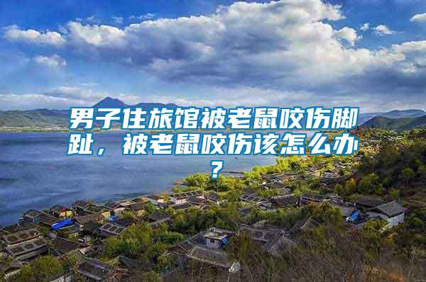 男子住旅館被老鼠咬傷腳趾，被老鼠咬傷該怎么辦？