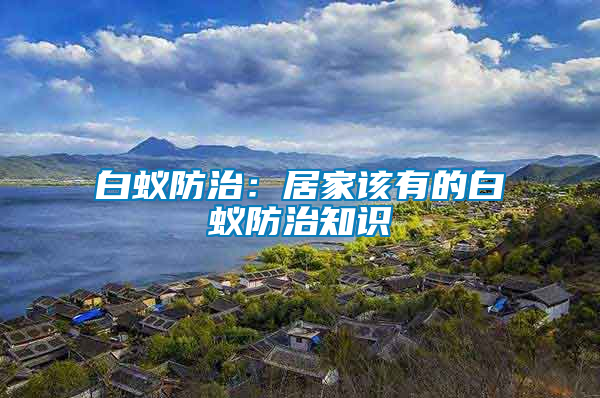 白蟻防治：居家該有的白蟻防治知識