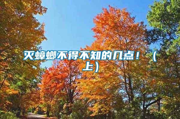 滅蟑螂不得不知的幾點!(上)