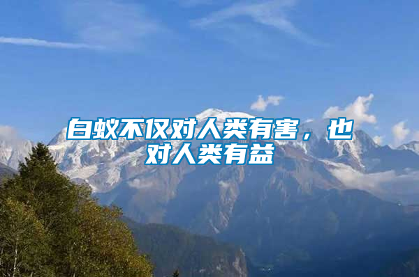 白蟻不僅對(duì)人類有害，也對(duì)人類有益